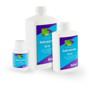 Інтракокс Орал (Intracox Oral) 100 мл/500 мл/1 л