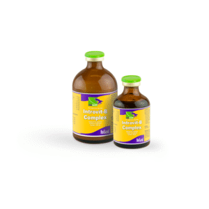 Інтровіт-В-Комплекс (Introvit-B-Complex) 100 мл