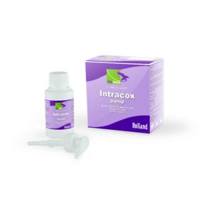 Інтракокс Памп (Intracox Pump) 100 мл/1 л