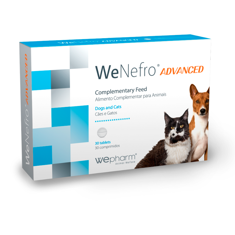 WeNefro