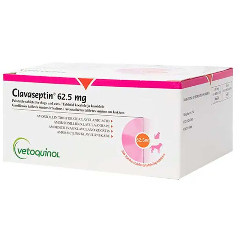 Клавасептін (Clavaseptin) 62,5 мг