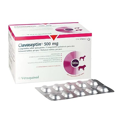 Клавасептін (Clavaseptin) 500 мг