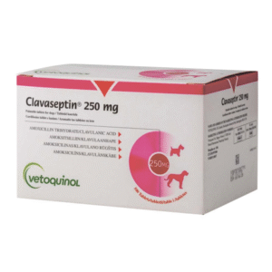 Клавасептін (Clavaseptin) 250 мг