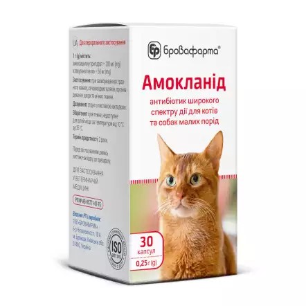 Амокланід 30 капсул х 0,25 гр