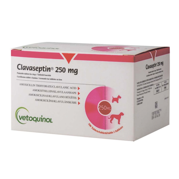 Клавасептін (Clavaseptin) 250 мг