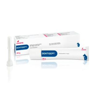 Дентисепт (Dentisept) 20 гр