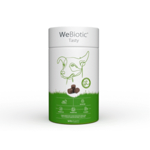 WeBiotic® Tasty (Вібіотік Тейсті)